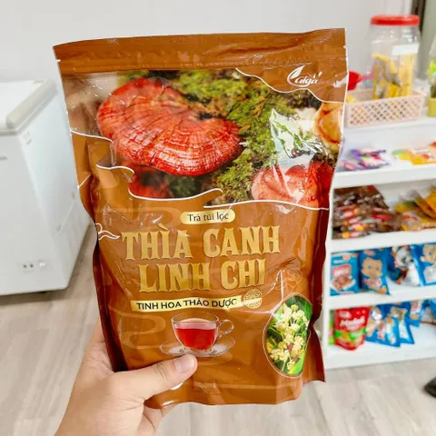 Trà Túi Lọc Thìa Canh Linh Chi GIGAHERBS 250g - Giúp Ổn Định Đường Huyết, Tăng Cường Miễn Dịch và Thanh Lọc Cơ Thể