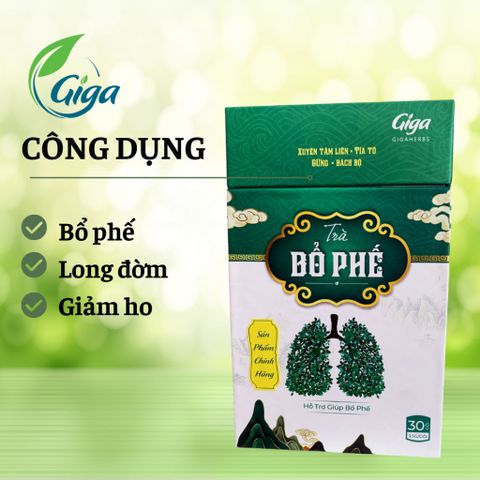 Trà Túi Lọc Bổ Phế GIGAHERBS Thanh Nhiệt, Bổ Phế, Long Đờm, Giảm Ho Hiệu Quả (Hộp 30 túi lọc)