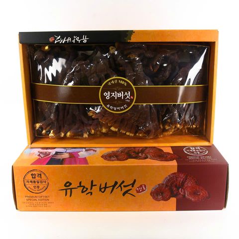 Nấm Linh Chi Sừng Hươu Hàn Quốc Hộp 500g