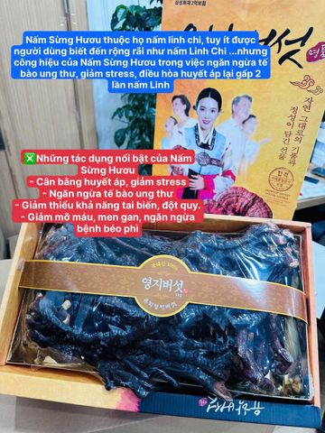 Nấm Linh Chi Sừng Hươu Hàn Quốc Hộp 500g