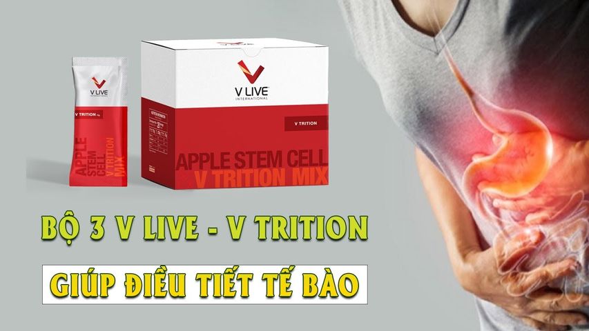 V-Trition+ Thực Phẩm Bảo Vệ Sức Khỏe Hệ Tiêu Hóa, Hỗ trợ Dạ dày, ruột non, đại tràng, các tổn thương hệ tiêu hoá