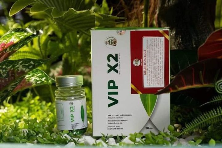 Giảm Cân Tiến Hạnh VIP X2 - Viên Giảm Mỡ, Hỗ Trợ Đốt Mỡ Tự Nhiên, Vóc Dáng Thon Gọn, Không Cần Kiêng Nghỉ