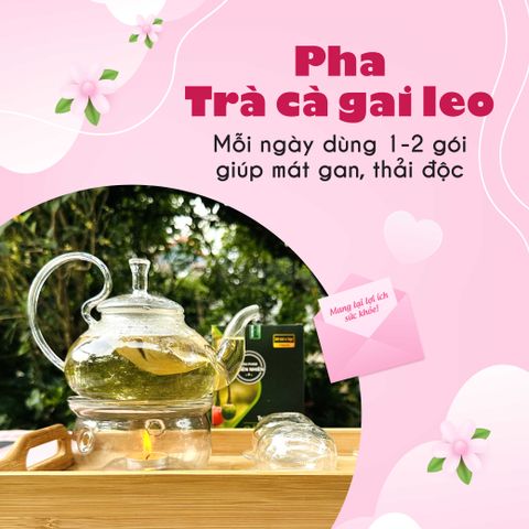 Trà Cà Gai Leo Túi Lọc - Hỗ Trợ Giải Độc, Thanh Nhiệt, 30 Túi 5g - Sản Phẩm Từ Siêu Thị Thiên Nhiên