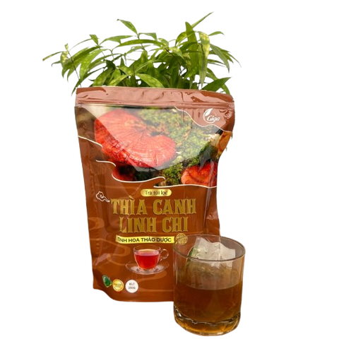 Trà Túi Lọc Thìa Canh Linh Chi Gigaherbs 250g - Hỗ Trợ Ổn Định Đường Huyết, Tăng Cường Miễn Dịch, Giải Độc Gan