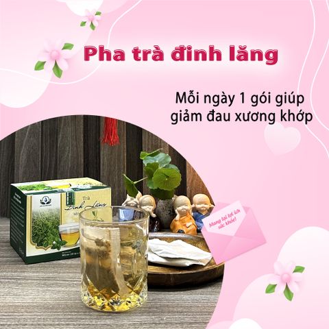 Trà Đinh Lăng Thảo Mộc - Hỗ Trợ Giảm Căng Thẳng, Mệt Mỏi - Hộp 30 Túi Lọc x 3Gram - Siêu Thị Thiên Nhiên