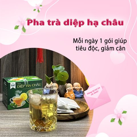 Trà Diệp Hạ Châu Hộp 30 Túi Lọc 3g - Giải Nhiệt, Lợi Tiểu, Thảo Mộc Tự Nhiên Siêu Thị Thiên Nhiên
