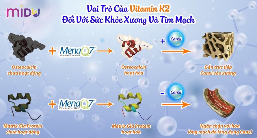 Midu MenaQ7 360mcg - Viên Canxi Hỗ Trợ Phát Triển Chiều Cao và Chắc Khỏe Xương cho Trẻ Em và Người Lớn