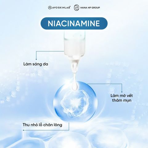 Serum Niacinamide 20% Avo Skinlab - Dưỡng Ẩm, Sáng Da, Giảm Thâm, Kiểm Soát Dầu Cho Da Khô, Da Dầu, Da Nhạy Cảm