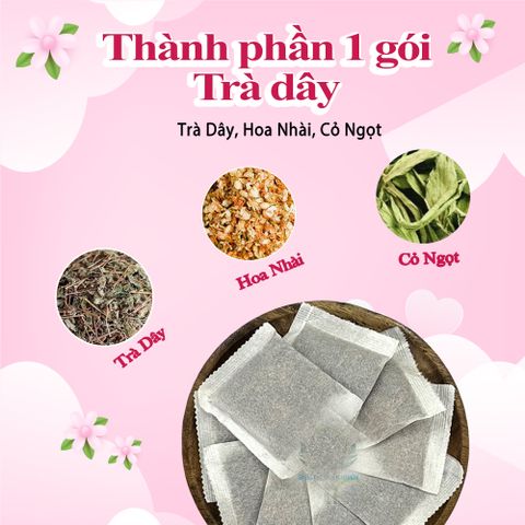 Trà Dây Giảm Đau Dạ Dày - Hỗ Trợ Tiêu Hóa và Cải Thiện Sức Khỏe - Hộp 30 Túi Lọc Thảo Mộc Siêu Thị Thiên Nhiên