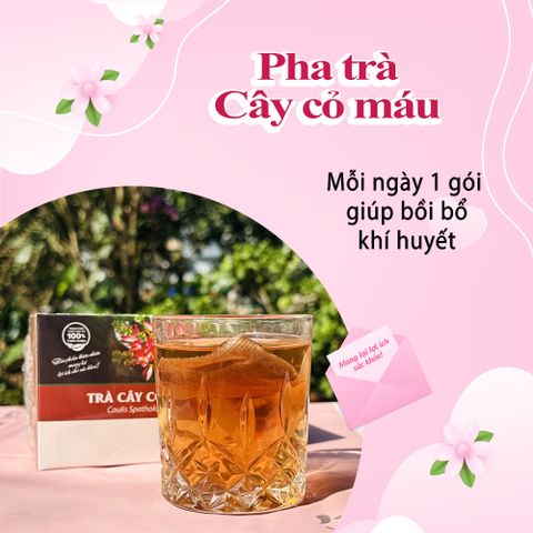 Trà Cây Cỏ Máu Hộp 30 Túi Lọc - Thảo Dược Giúp Bồi Bổ Khí Huyết và Cải Thiện Giấc Ngủ, Sản Phẩm Từ Siêu Thị Thiên Nhiên