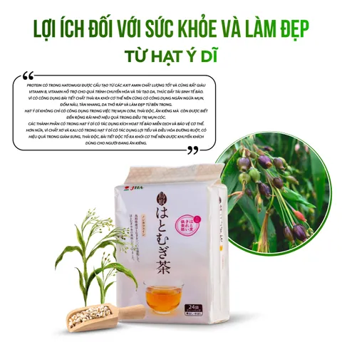 Combo Trà Hạt Ý Dĩ Hatomugi & Trà Xanh Hoji Ngũ Cốc - Thực Phẩm Không Chứa Cafein Giúp Làm Đẹp Da, Thích Hợp Cho Mọi Lứa Tuổi
