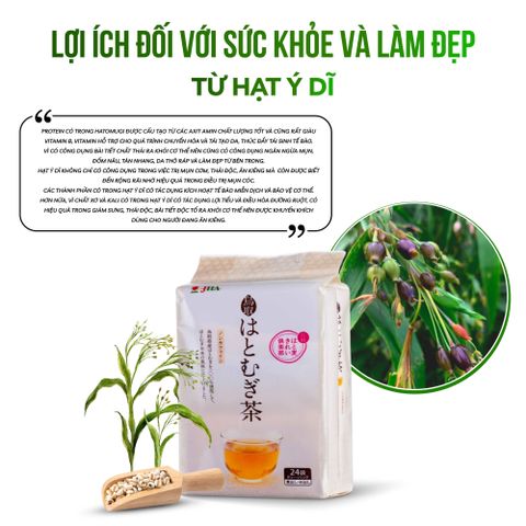 Combo Trà Hạt Ý Dĩ Và Trà Đậu Tương Đen - Yuzuha Shop