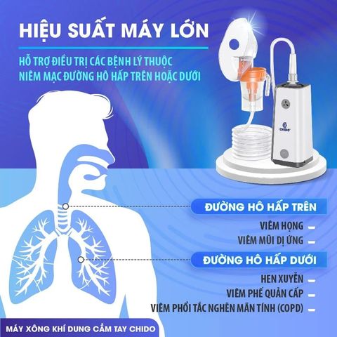 Máy Xông Khí Dung CHIDO Cầm Tay 2024 CNB69026 - Thiết Kế Nhỏ Gọn, Dung Tích 800ml, Tiếng Ồn Thấp, Hỗ Trợ Đường Hô Hấp