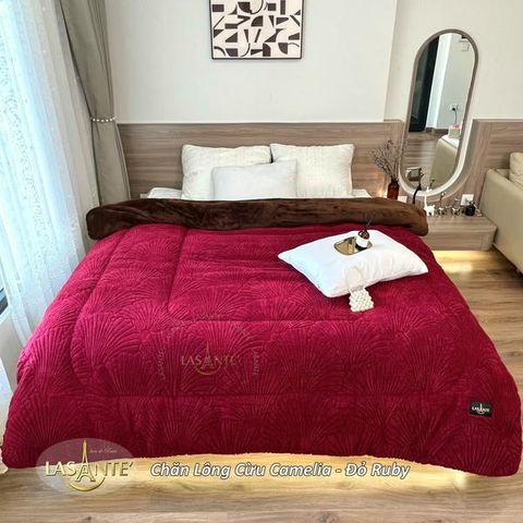 Chăn Lông Cừu Camelia - Chăn Cừu Đẹp Hà Nội