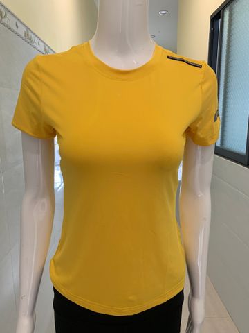 Áo Thun Nữ Tập Gym - Thun Lạnh Thấm Hút Mồ Hôi, Thời Trang Thể Thao Cổ Tròn Đẹp, Dành Cho Nữ Năng Động