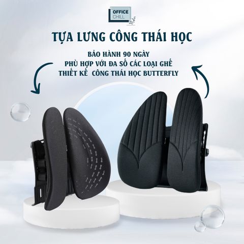 Tựa Lưng Ghế Văn Phòng Công Thái Học ButterFly - Điều Chỉnh 5 Cấp Độ, Hỗ Trợ Cột Sống, Chất Liệu Polyester Siêu Bền