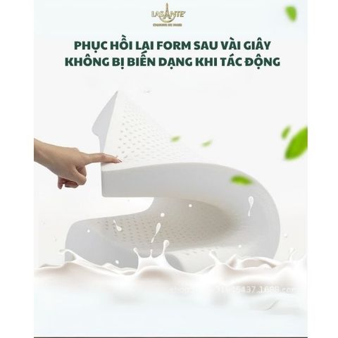 Gối Cao Su Thấp 4 Cm Form Lượn Sóng - Chính Hãng Lasante