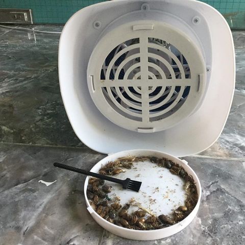 Đèn Diệt Ruồi Muỗi Gia Đình AOS KOREA SSK-10W - Hiệu Quả Trong Phạm Vi 50m2, Công Suất 10W, Bảo Hành 12 Tháng