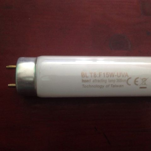 Bóng đèn Taiwan 15W dùng cho đèn diệt côn trùng 
