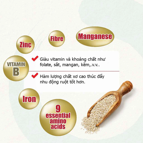 Sữa Yến Mạch Hữu Cơ Biogreen Beta Gold - Nguồn Năng Lượng và Dinh Dưỡng Cho Người Lớn Tuổi, Giảm Cholesterol, Tăng Cường Miễn Dịch