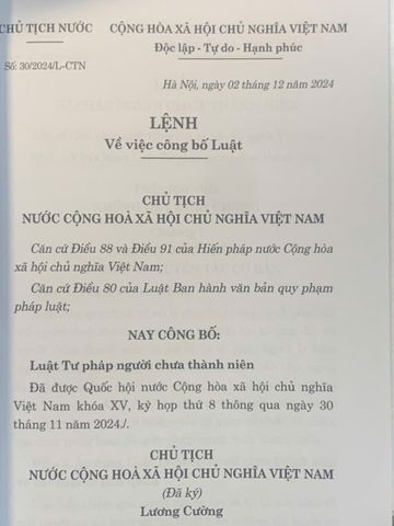 Luật Tư pháp Người Chưa Thành Niên 2024 - Tác giả Quốc Hội, Bìa Mềm, 204 Trang, Cập Nhật Luật Mới Tại Việt Nam