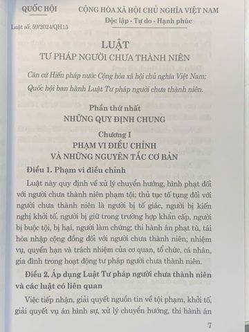 Luật Tư pháp Người Chưa Thành Niên 2024 - Tác giả Quốc Hội, Bìa Mềm, 204 Trang, Cập Nhật Luật Mới Tại Việt Nam