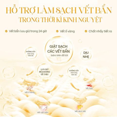 Nước Giặt Đồ Lót Aini Dịu Nhẹ 100ml - Sạch Sâu, An Toàn Cho Da Nhạy Cảm, Hương Thơm Dễ Chịu, Phù Hợp Với Pha Nguyên Liệu Tự Nhiên