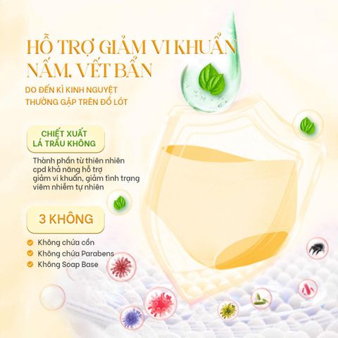 Nước Giặt Đồ Lót Aini Dịu Nhẹ 100ml - Sạch Sâu, An Toàn Cho Da Nhạy Cảm, Hương Thơm Dễ Chịu, Phù Hợp Với Pha Nguyên Liệu Tự Nhiên