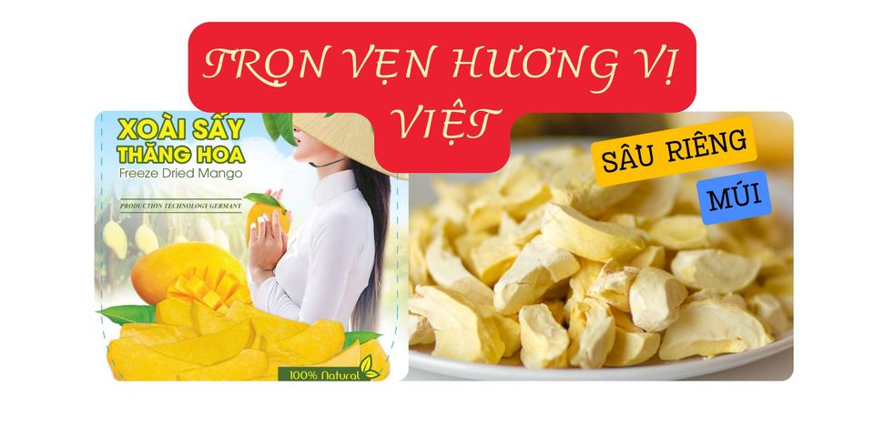 Sầu Riêng Múi Sấy Cao Cấp Thăng Hoa - Snack Viza Food 120G, Hương Vị Tươi Mới Nguyên Múi, Quà Tặng Hoàn Hảo
