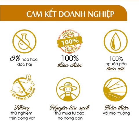 Tinh dầu xá xị nguyên chất Mocotics dung tích 5ml - 50ml giúp khử mùi, làm thơm phòng, oto hiệu quả
