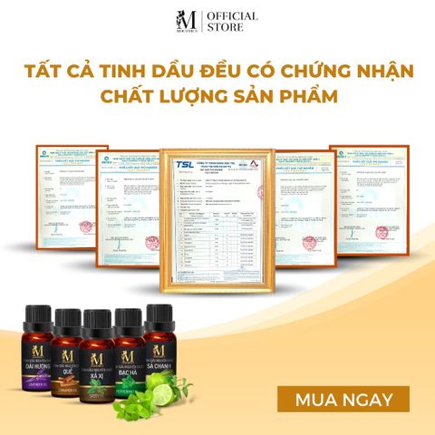 Tinh dầu xá xị nguyên chất Mocotics dung tích 5ml - 50ml giúp khử mùi, làm thơm phòng, oto hiệu quả