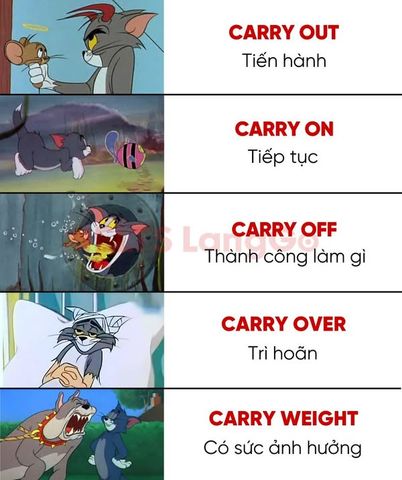 Trà thải độc giảm mỡ Greenway phòng ngừa táo bón - hộp 30 túi lọc