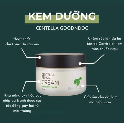 Kem Rau Má GoodnDoc Centella Repair Cream - Dưỡng Ẩm Da, Giảm Lão Hóa, Phục Hồi Da Nhạy Cảm, Chống Oxy Hóa, Dưỡng Trắng Da