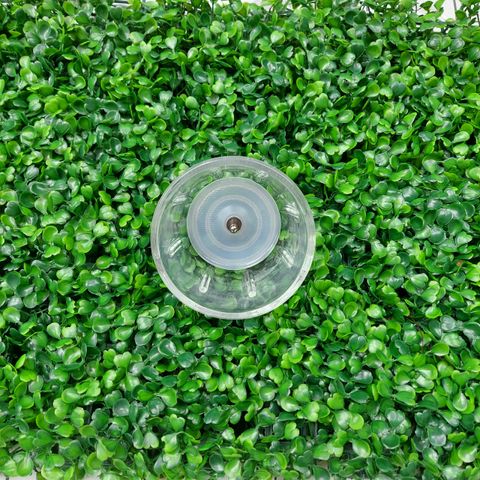 Cối Thủy Tinh 0,3L Bear B03V8 - Phụ Kiện Thay Thế Cho Máy Xay Sinh Tố Chất Liệu Borosilicate Bền Bỉ