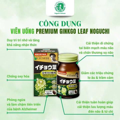 Viên uống bổ não Premium Noguchi Ginkgo Leaf Nhật Bản hỗ trợ cải thiện trí nhớ, giảm đau đầu