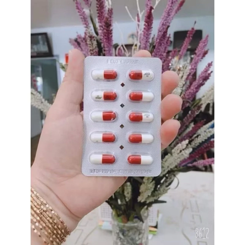 Combo 12 Hộp Viên Uống Xương Khớp Noxa Thái Lan - Giảm Đau Xương Khớp, Hỗ Trợ Khớp Linh Hoạt, Sản Phẩm Y Tế Chất Lượng