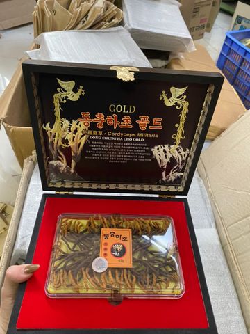 Đông Trùng Hạ Thảo Nguyên Con Cordyceps Militaris Dong Chung Ha Cho Gold Hàn Quốc