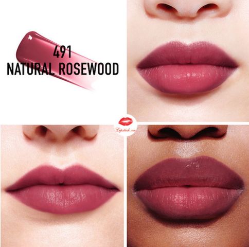 Son Dior Addict 491 Lip Tint - Hồng Nâu Sang Trọng, Dưỡng Môi Tự Nhiên, Xu Hướng Thời Trang, Quà Tặng Lý Tưởng