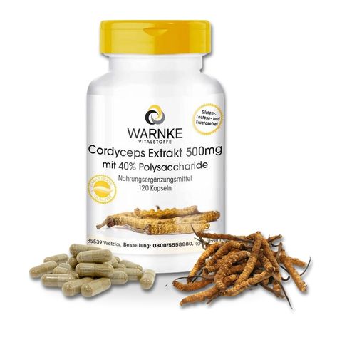 Viên Uống Đông Trùng Hạ Thảo Warnke Cordyceps Extrakt 500mg, 120 Viên,