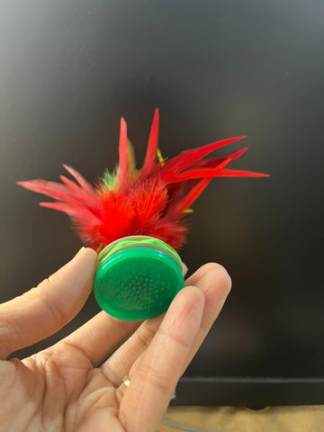 Quả cầu đá lông gà lông ngỗng, tập thể dục, giải trí, trái cầu đá trẻ em và người lớn - Vuabinhnuoc