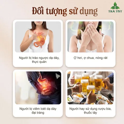 Trà lược vàng chè dây 6 vị TRA TOT giảm trào ngược dạ dày thực quản
