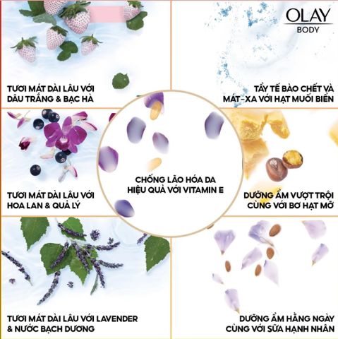 Sữa Tắm Olay Dưỡng Da Nhiều Mùi Hương 650ml - Hương Thơm Lưu Giữ Lâu, Giữ Ẩm Hiệu Quả Cho Mọi Loại Da