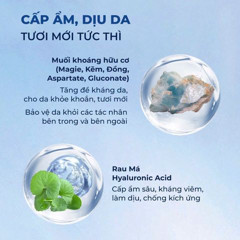 Xịt Khoáng Cấp Ẩm Kiềm Dầu Sắc Ngọc Khang 145ml - Giảm Mụn, Làm Dịu Da, Căng Bóng, Ẩm Mịn, Dưỡng Da Tươi Trẻ
