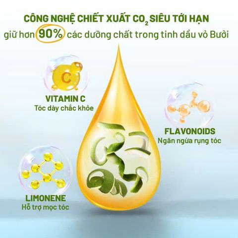 Combo 3 Dầu Gội Dầu Xả Xịt Dưỡng Tóc Tinh Dầu Bưởi BFO Behair - Kích Mọc và Phục Hồi Tóc Khỏe Mạnh