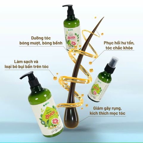 Combo 3 Dầu Gội Dầu Xả Xịt Dưỡng Tóc Tinh Dầu Bưởi BFO Behair - Kích Mọc và Phục Hồi Tóc Khỏe Mạnh