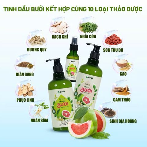 Combo 3 Dầu Gội Dầu Xả Xịt Dưỡng Tóc Tinh Dầu Bưởi BFO Behair - Kích Mọc và Phục Hồi Tóc Khỏe Mạnh