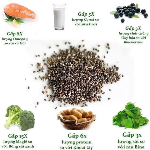 Hạt chia Úc hữu cơ organic chia seed Healthy care 500g chất xơ, omega 3, canxi protein giảm cân 223887