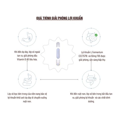 Viên Uống PERDAYS Breastfeeding Probiotic & Vitamin D - Hỗ Trợ Tiêu Hóa và Miễn Dịch Cho Mẹ Bầu và Sau Sinh