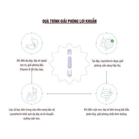 Viên Uống PERDAYS Immune Boost & Lactoferrin - Tăng Cường Đề Kháng Cho Mẹ Bầu, Hỗ Trợ Hệ Miễn Dịch - Lọ 60 Viên