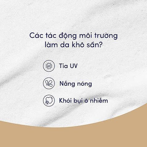 Sữa Tắm Dove Dưỡng Thể Bơ Hạt Mỡ & Vanilla 500g - Chăm Sóc Da Mềm Mịn, Hương Thơm Ngọt Ngào, Phục Hồi Độ Ẩm